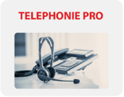 Téléphonie Pro